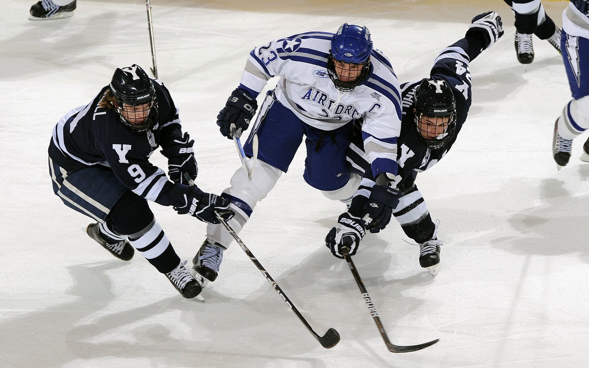 “保安队列与体能综合赛” 展现职业形象与素质
